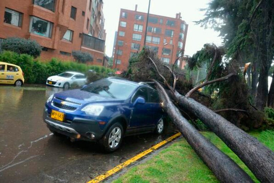 Cuatro árboles cayeron sobre automóviles en el norte de la ciudad