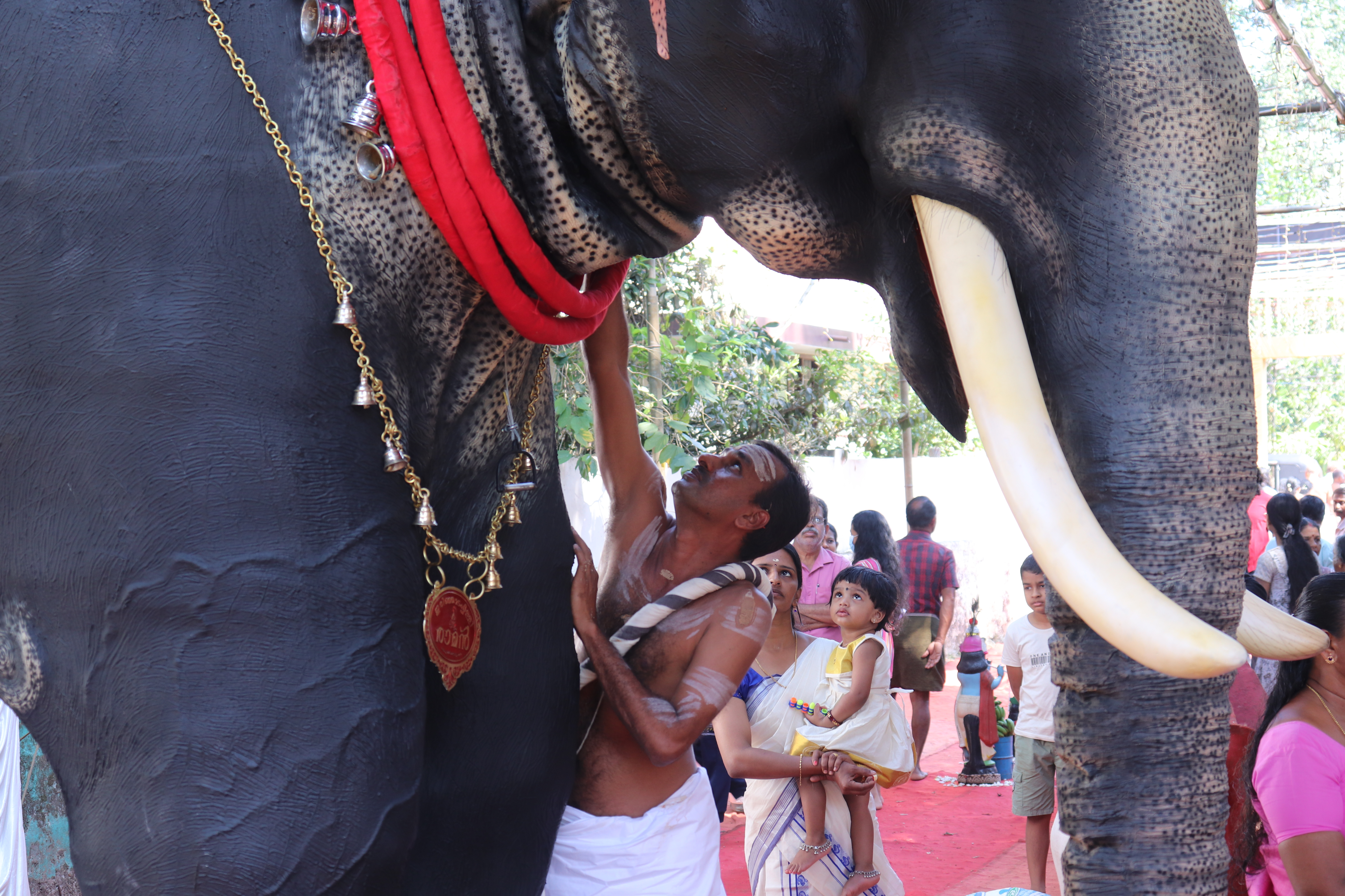 NUEVA DELHI, 04/03/2023.- Un templo hindú en el sur de la India ha reemplazado al elefante de carne de hueso por uno mecánico para llevar a cabo sus ceremonias, en un intento por luchar contra el maltrato y la caza furtiva de este animal, considerado sagrado por el hinduismo. La novedosa iniciativa, llevada a cabo en un templo hindú del estado sureño de Kerala, nació de una donación promovida por la organización en favor de los derechos de los animales People for the Ethical Treatment of Animals (PETA) que promueve una intensa campaña en el país para proteger a los paquidermos. EFE/PETA/Juhi Bhatt *****SOLO USO EDITORIAL/SOLO DISPONIBLE PARA ILUSTRAR LA NOTICIA QUE ACOMPAÑA (CRÉDITO OBLIGATORIO) *****