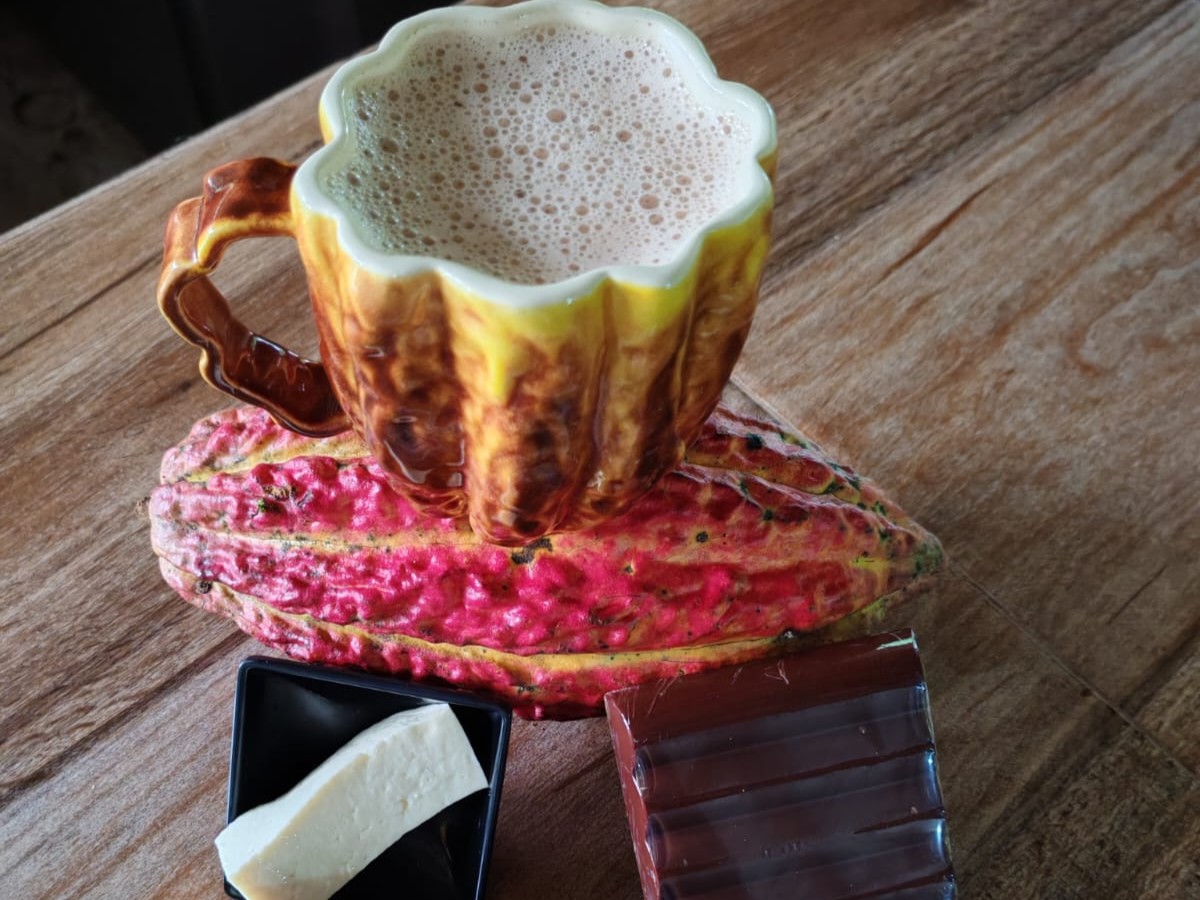 En lo profundo del Putumayo, donde la selva y la historia se entrelazan, el cacao dejó de ser solo un cultivo para convertirse en el motor de una transformación