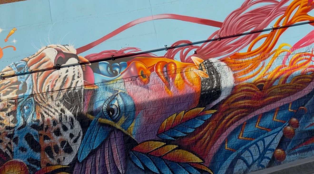 De muro gris a galería de arte urbano: artistas intervienen el intercambiador vial de la 72