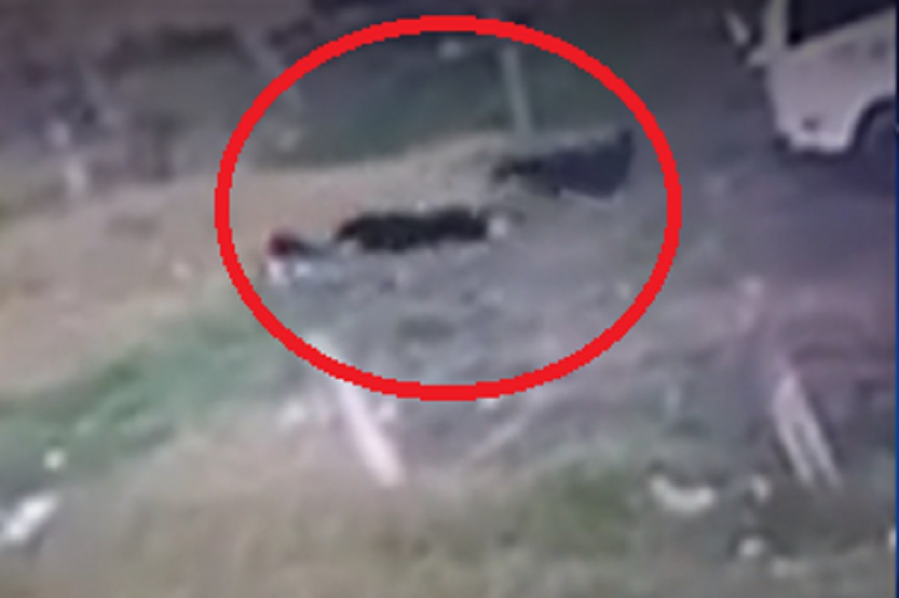 Video: Tres perros callejeros atacaron a niña, de cuatro años, en Ubaté, Cundinamarca