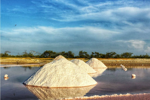 Comunidades Wayuu reclaman sus derechos sobre la explotación de las Salinas de Manaure
