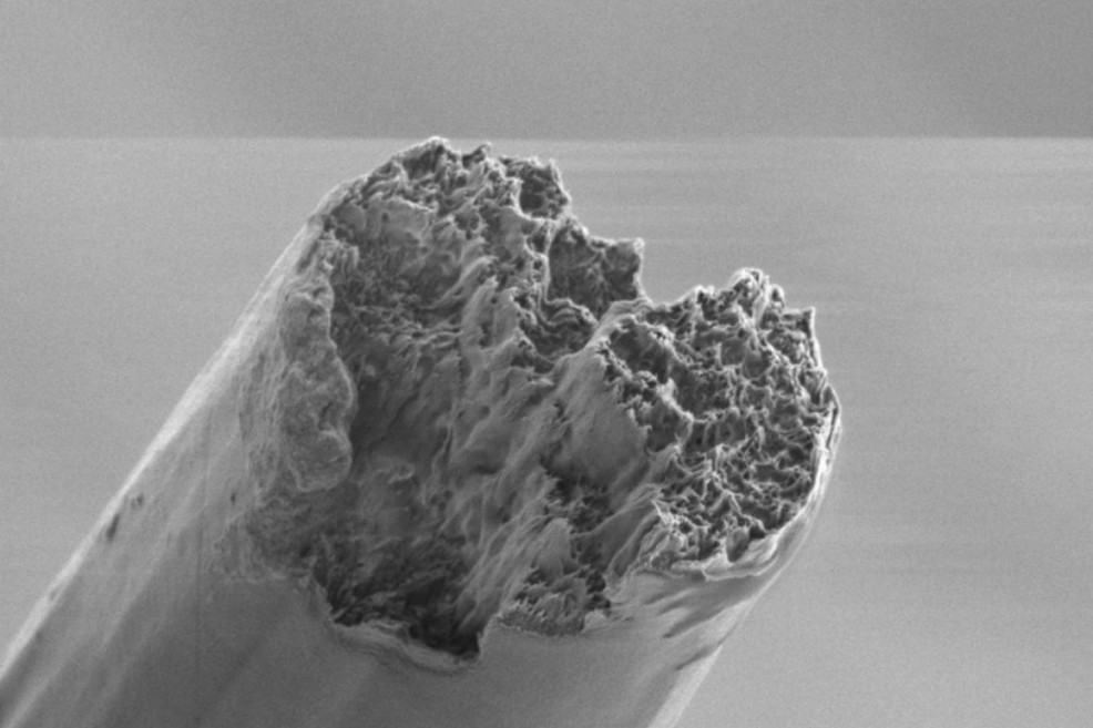 Crean el biomaterial más fuerte del mundo