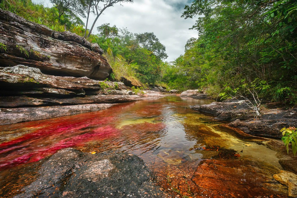 Cierran ingreso a Caño Cristales por temporada seca