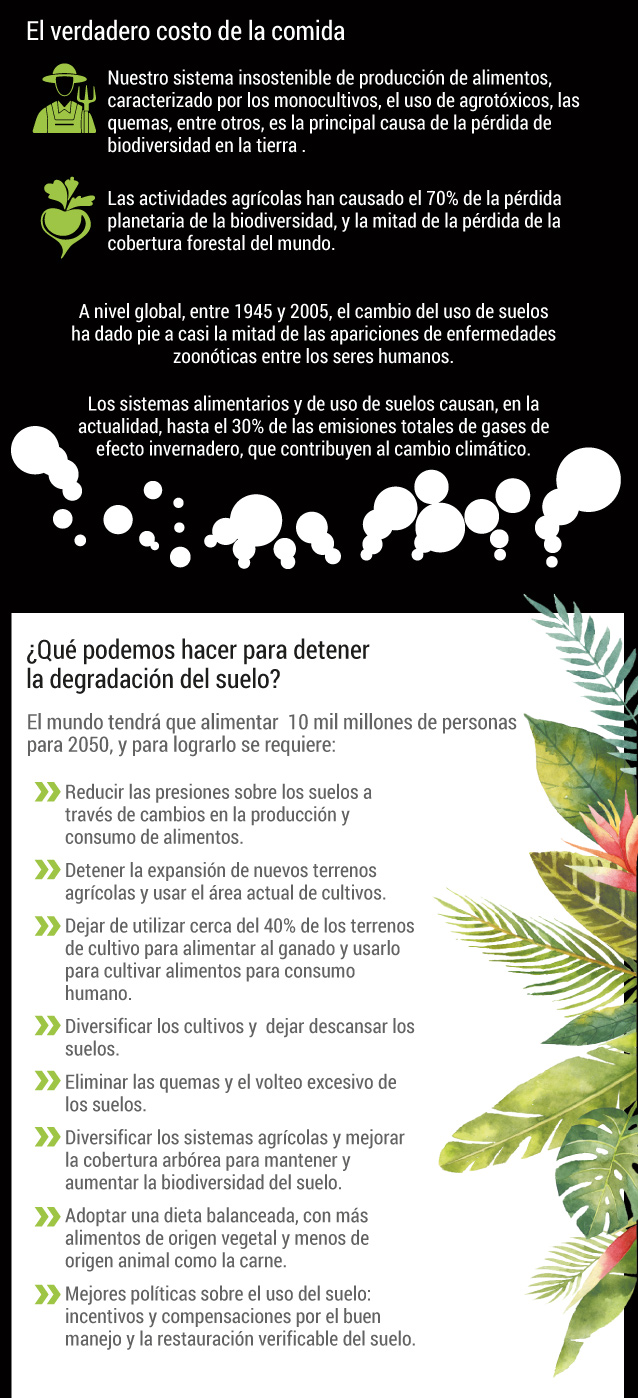 Día Mundial del Suelo 2020
