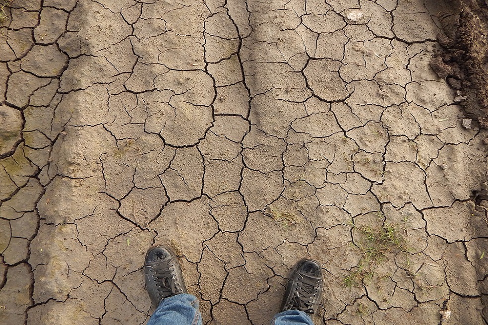 Fenómeno de El Niño podría estar acelerando el cambio climático