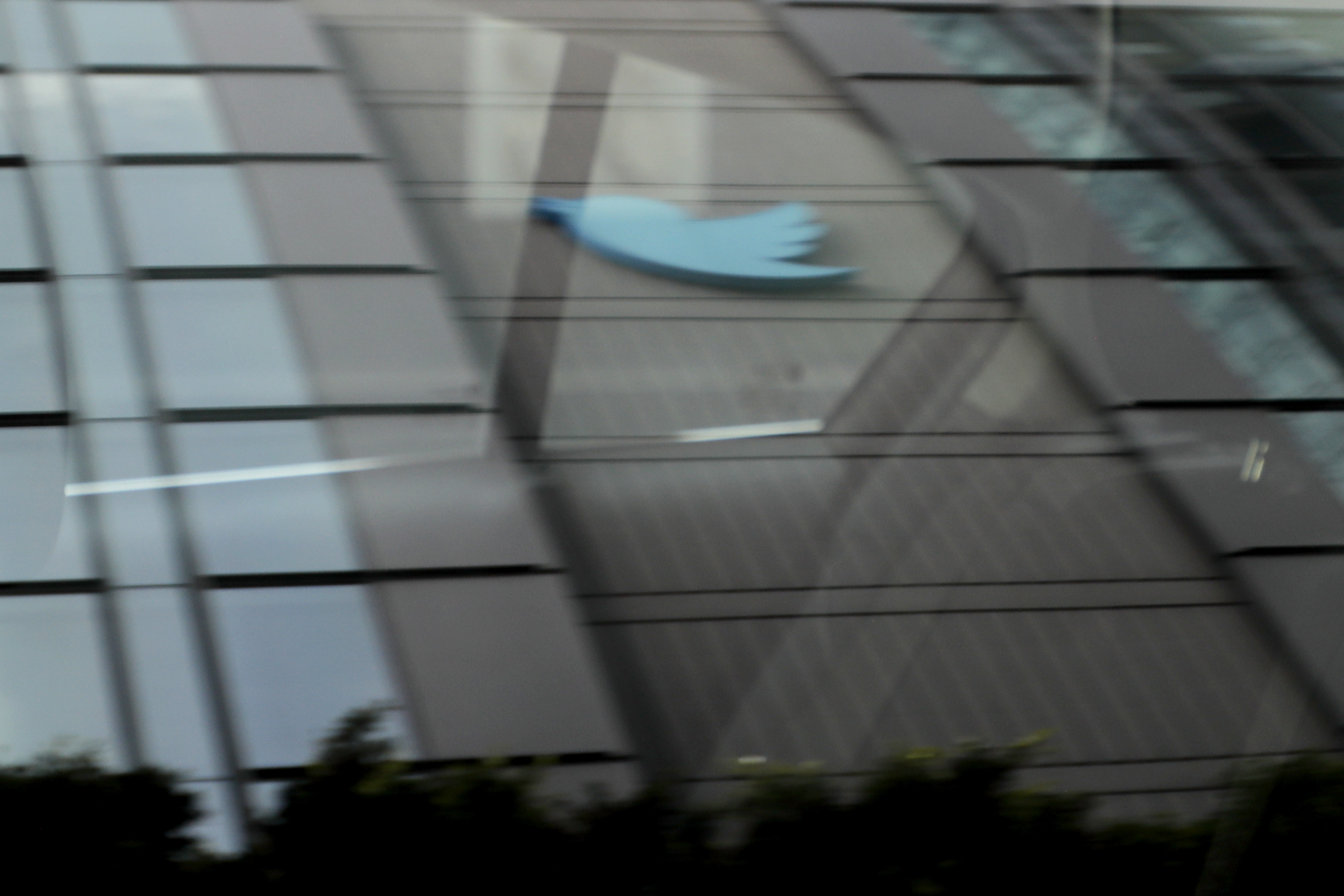 Nueva encuesta de Elon Musk: ¿Amnistía para las cuentas suspendidas en Twitter?