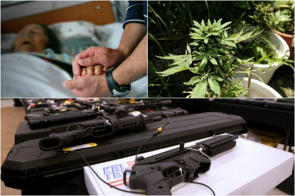 Cannabis, porte de armas, pornografía y pena de muerte: los otros temas de votación en EE.UU.