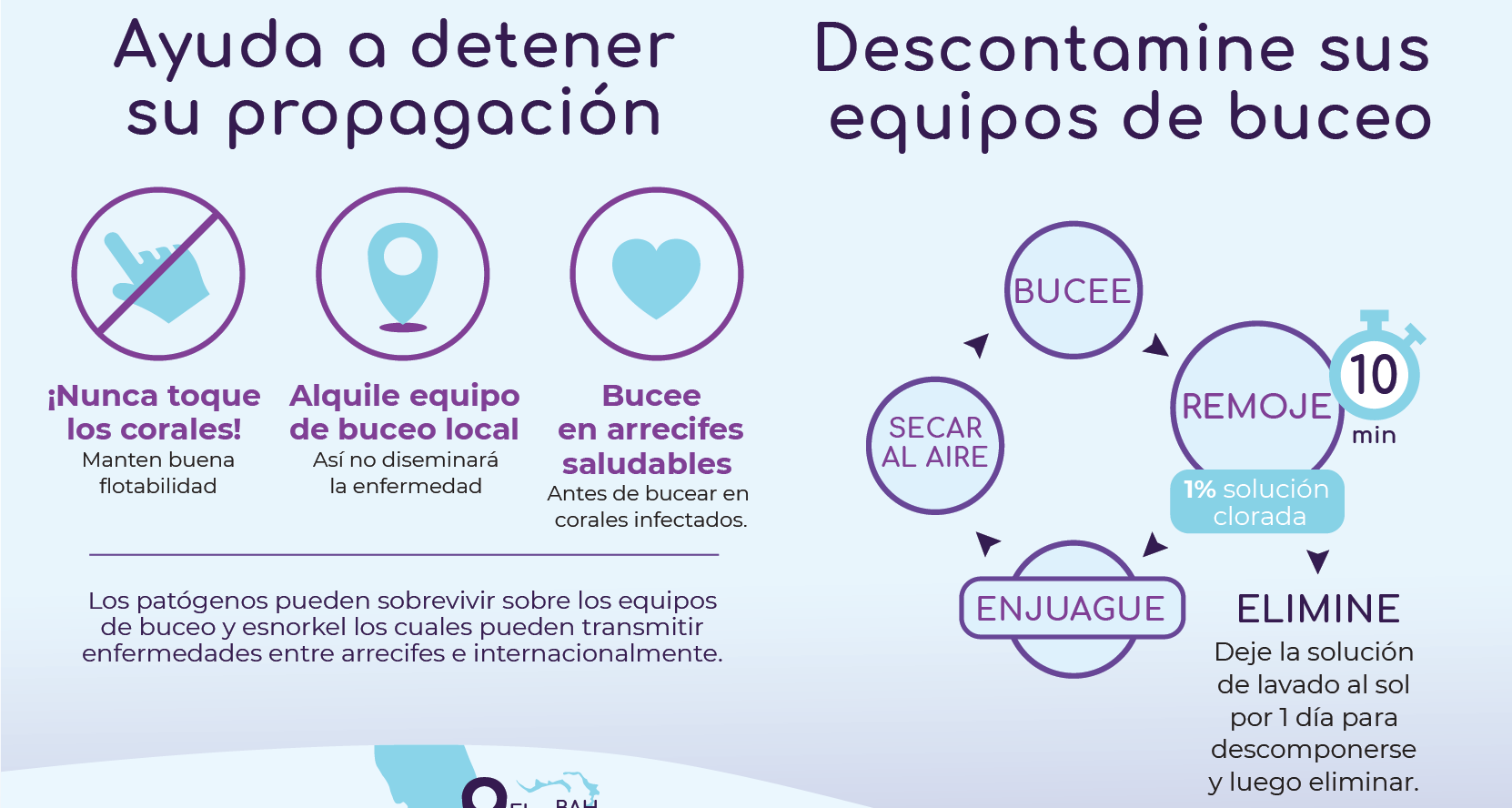 Enfermedad pérdida de tejido de coral