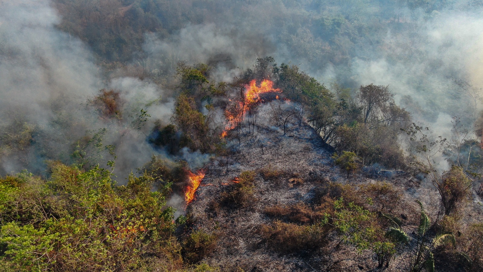 Desde principios de agosto, los incendios han afectado especialmente a los municipios de Ortega, San Luis, Guamo, Coyaima y Chaparral.
