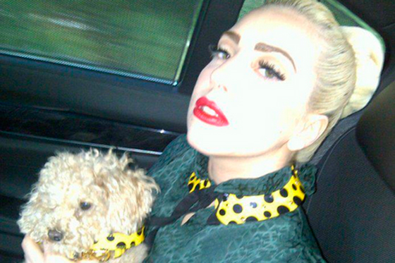 Lady Gaga crea una peluca con iluminación