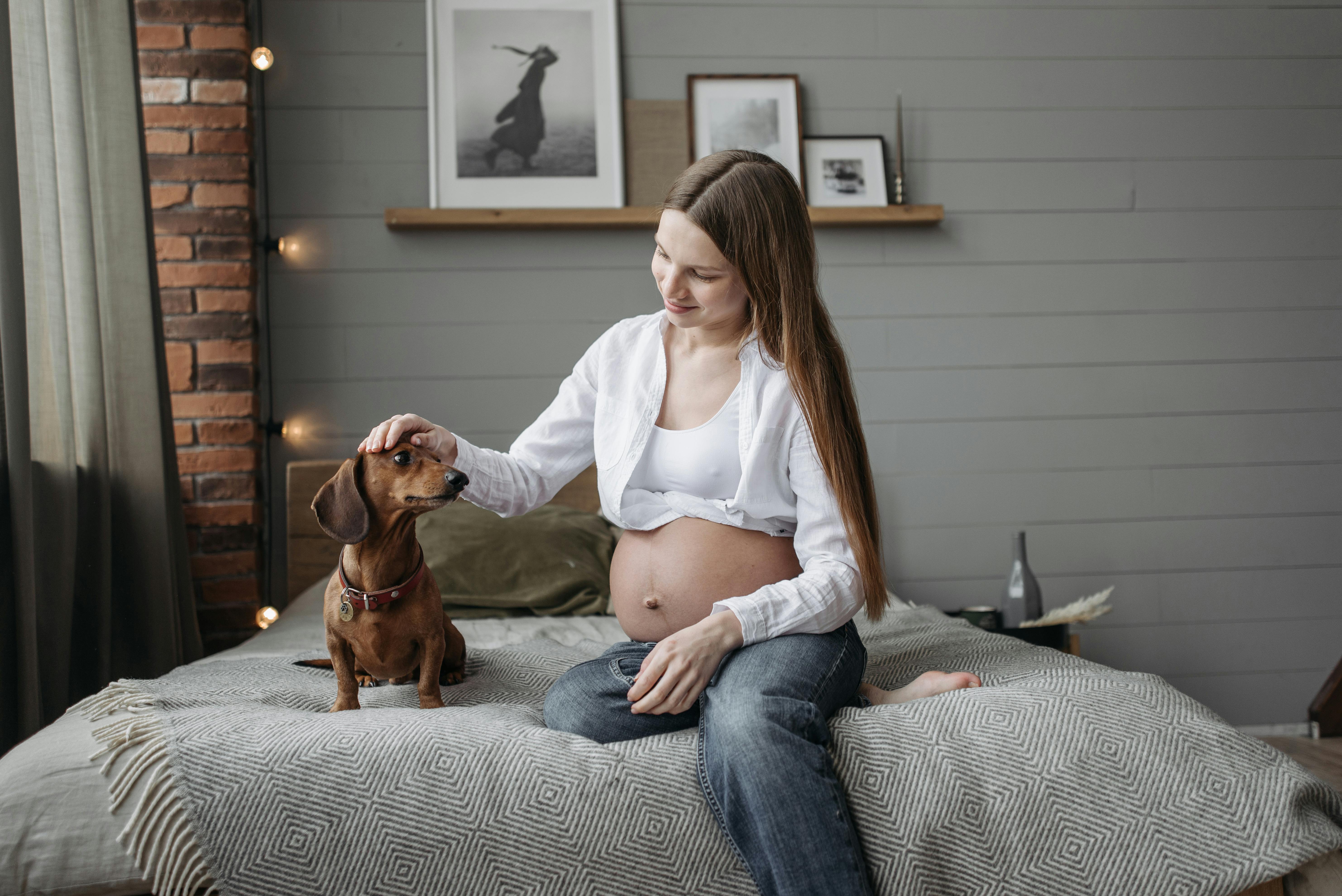 ¿Los perros sienten el embarazo de una mujer?