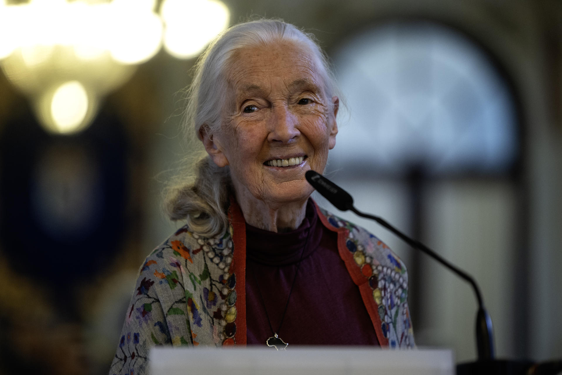 Adiós a Jane Goodall: así despide el mundo a una gran primatóloga y conservacionista