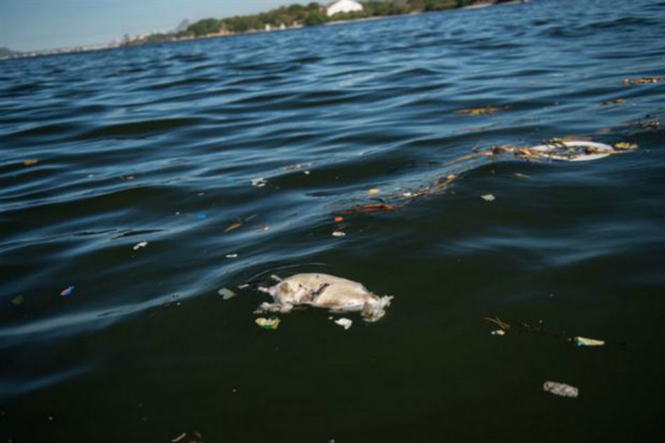 Aguas contaminadas en Río de Janeiro / AFP