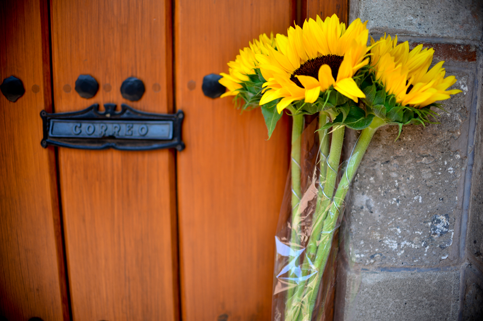 Flores para Gabo