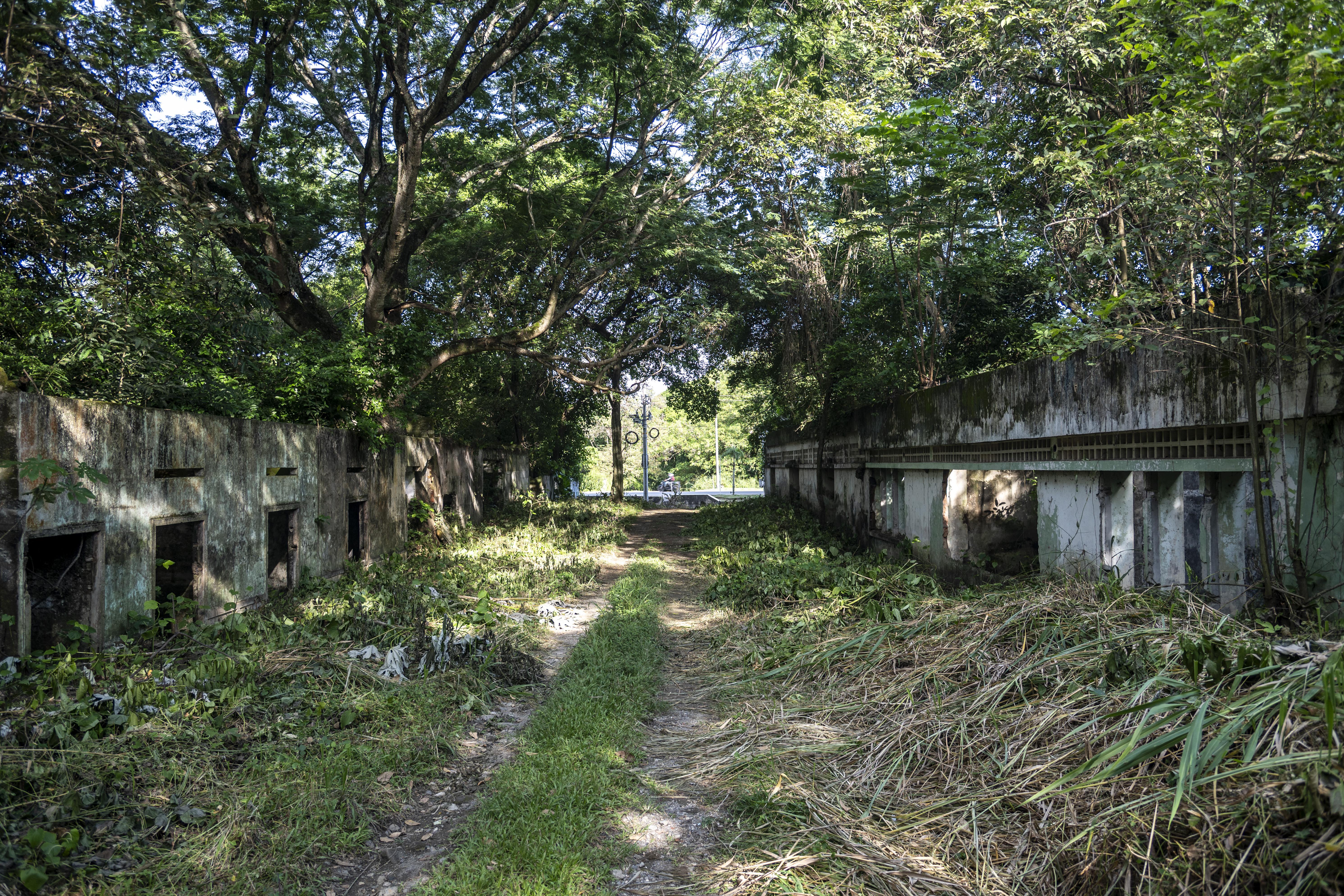 Las ruinas de Armero serán declaradas Bien de Interés Cultural del Ámbito Nacional