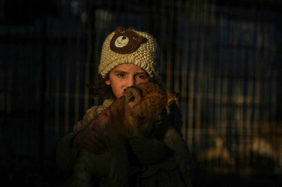 Tres leones bebés alegran a los niños en Gaza
