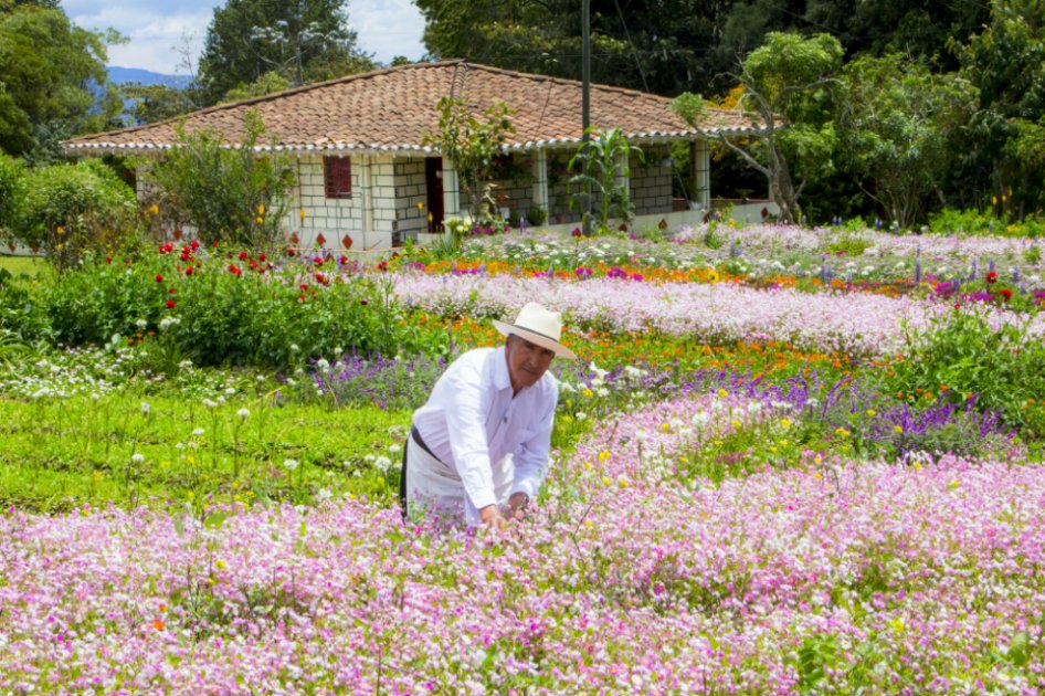 La nueva atracción de la Feria de las Flores