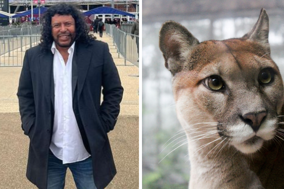 Así fue como René Higuita salvó a pumas de ser sacrificados en Antioquia
