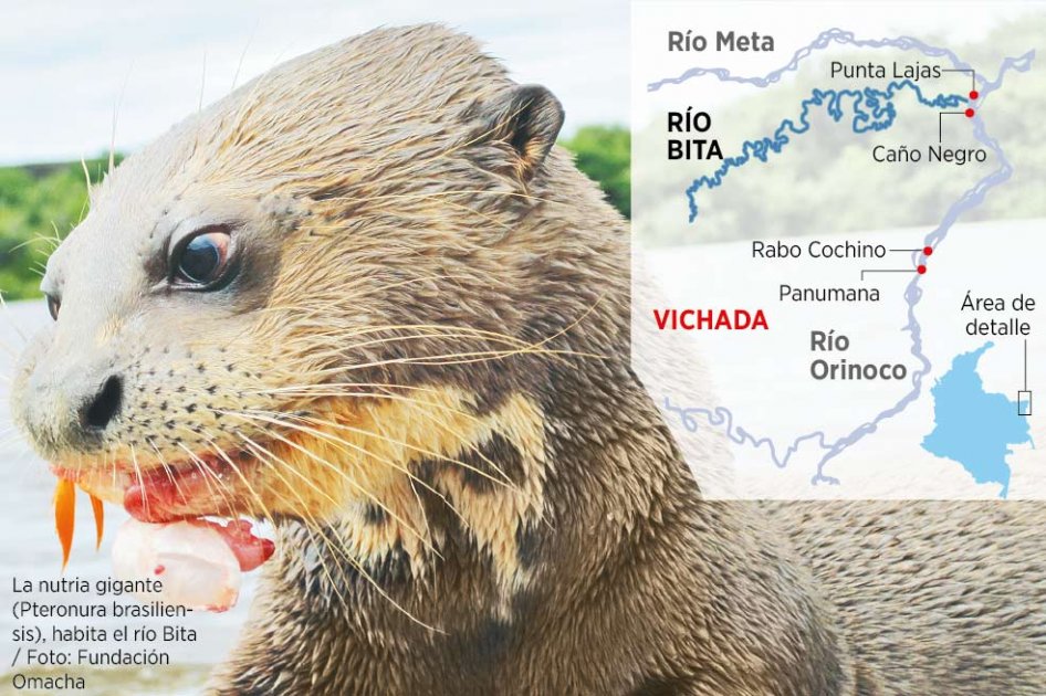El Bita sería el primer río protegido del país