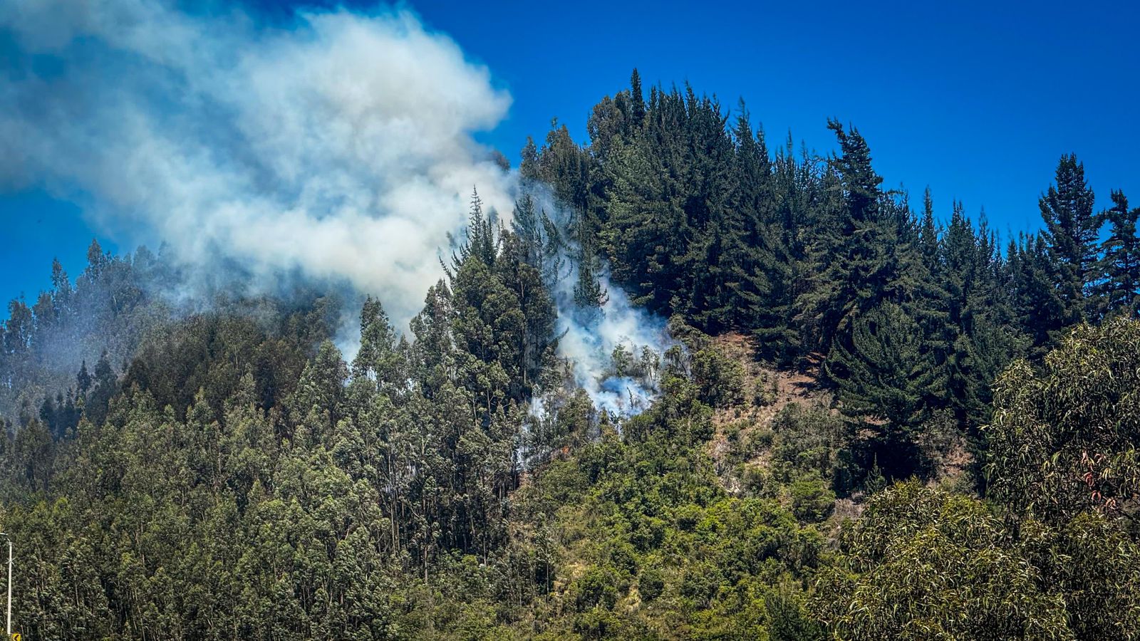 Dieciséis incendios en un día golpearon Cundinamarca: tres continúan activos