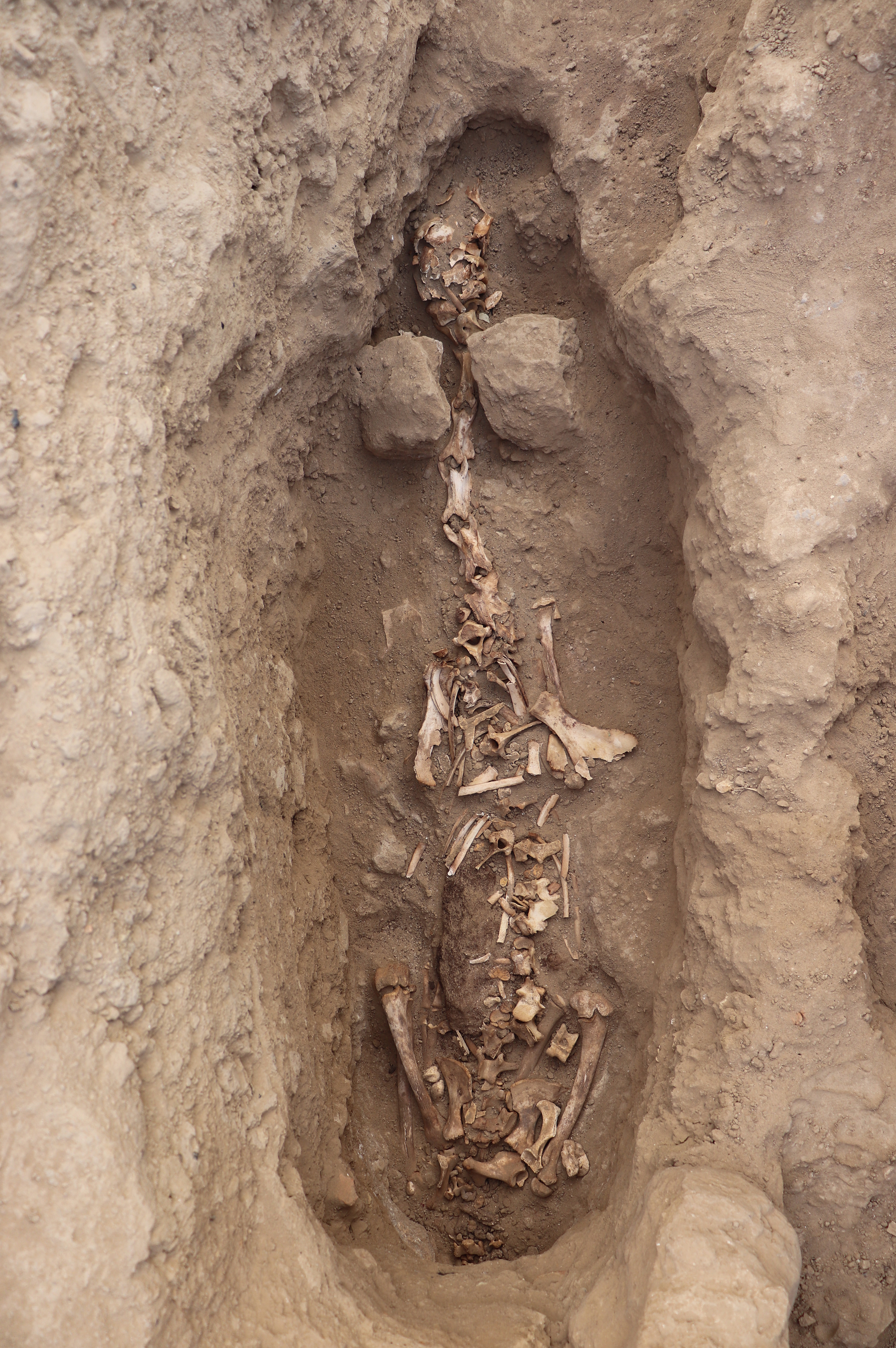 Descubren restos humanos con más de mil años de antigüedad en Perú