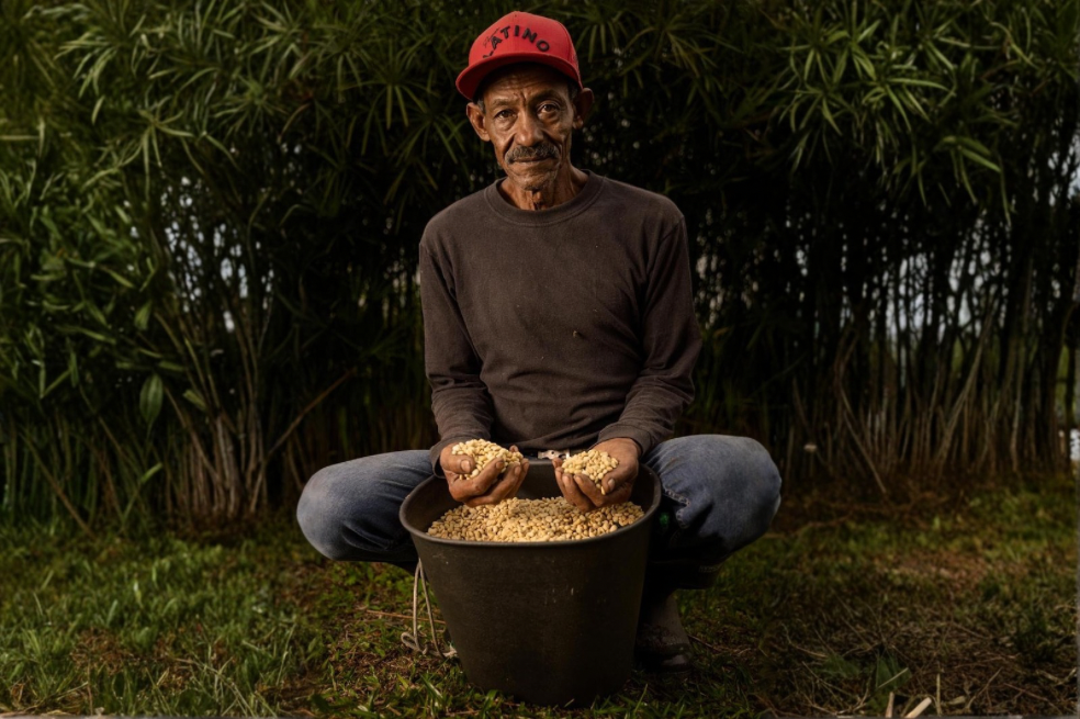 El campesino que cultiva sabores detrás de una propuesta gastronómica líquida en Colombia