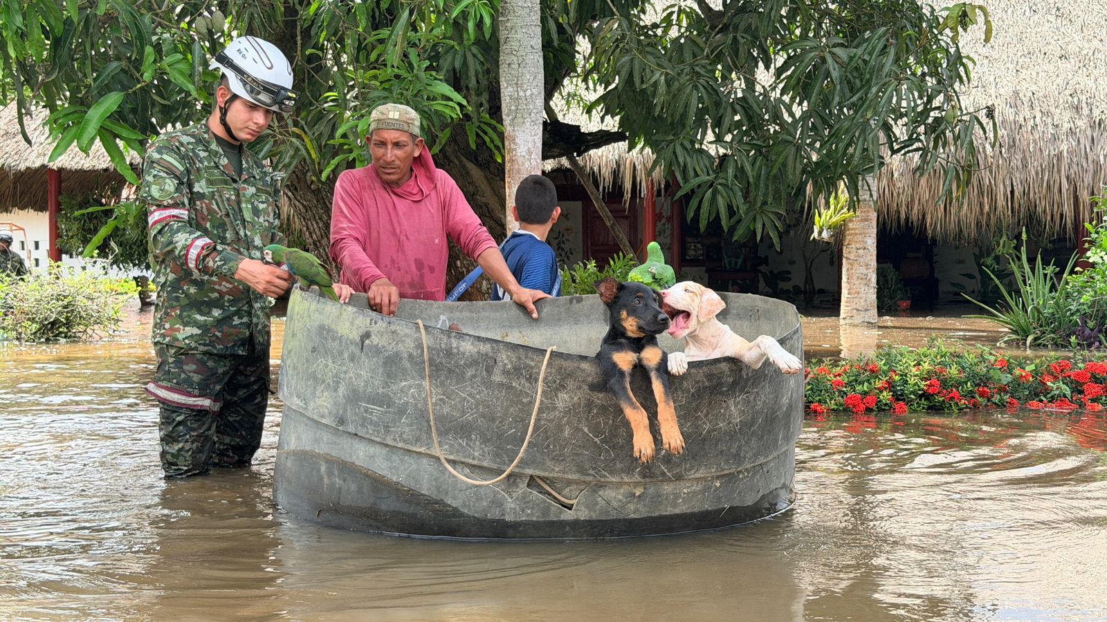 Más de 300 animales han sido rescatados tras inundaciones en Córdoba