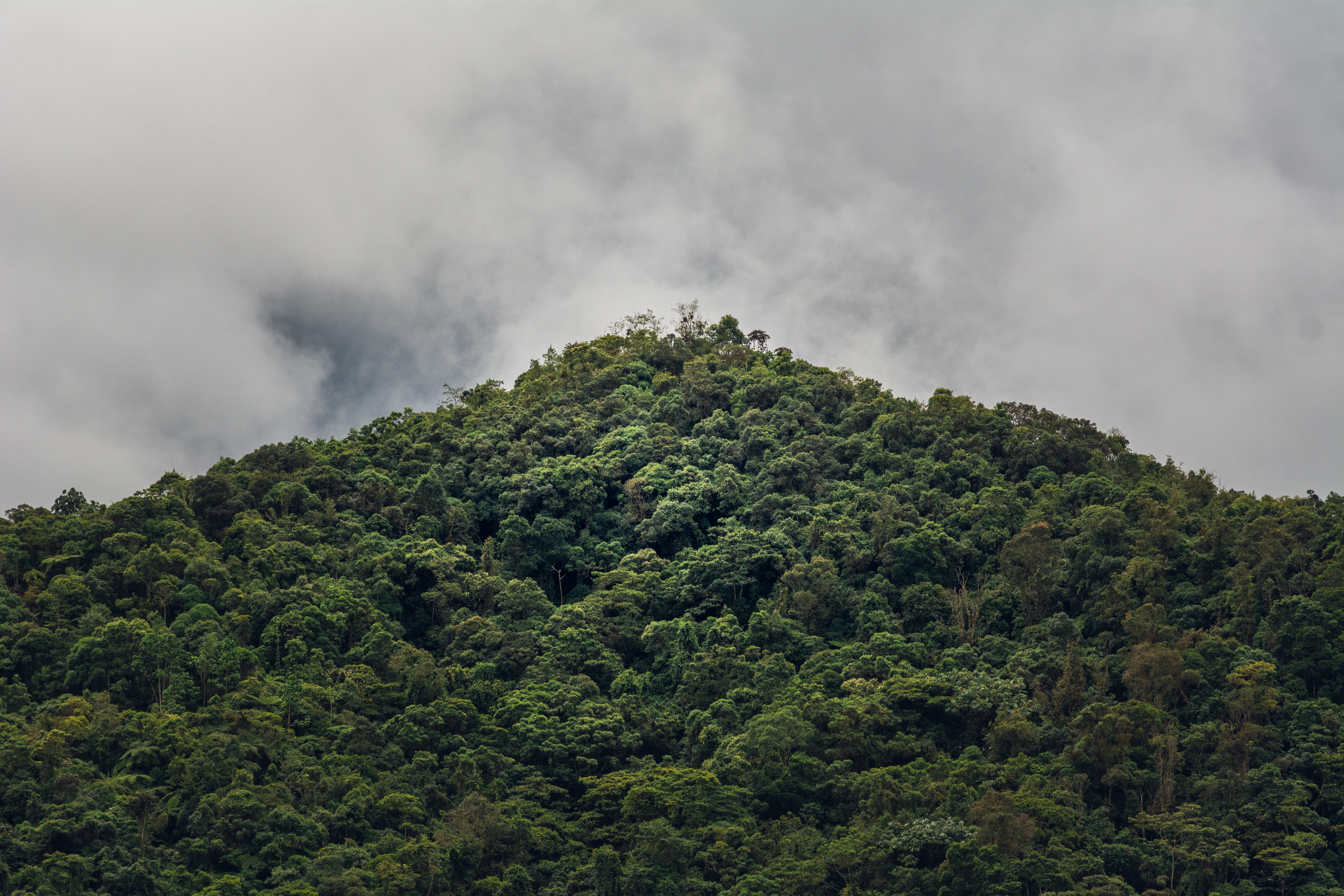 Las cuidadoras de la naturaleza y sus retos en el territorio