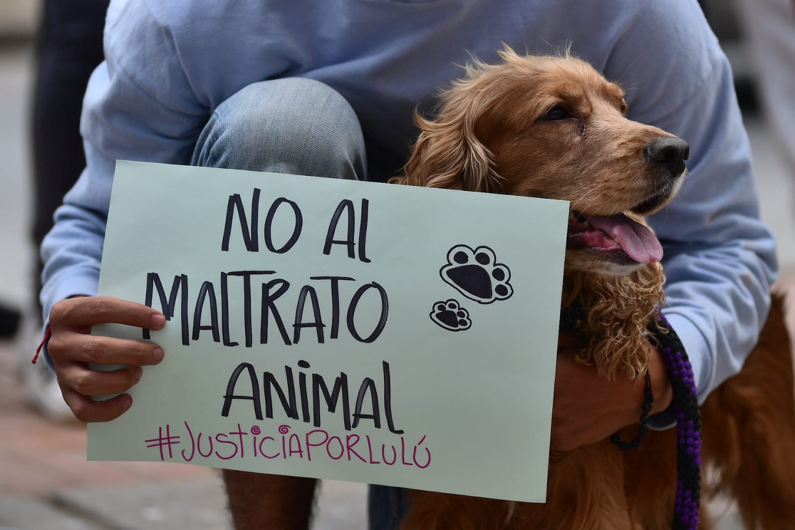 Indignación por hombre que golpeó a un perro dentro de un ascensor en Itagüí
