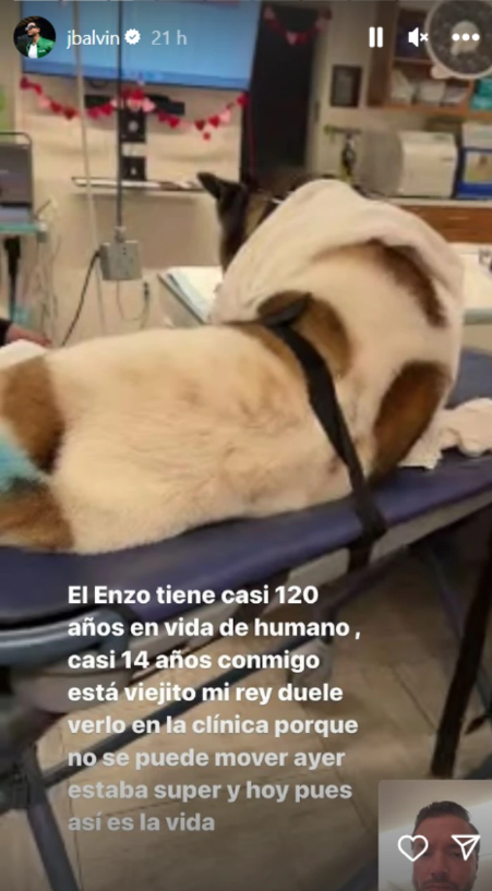 Enzo J Balvin