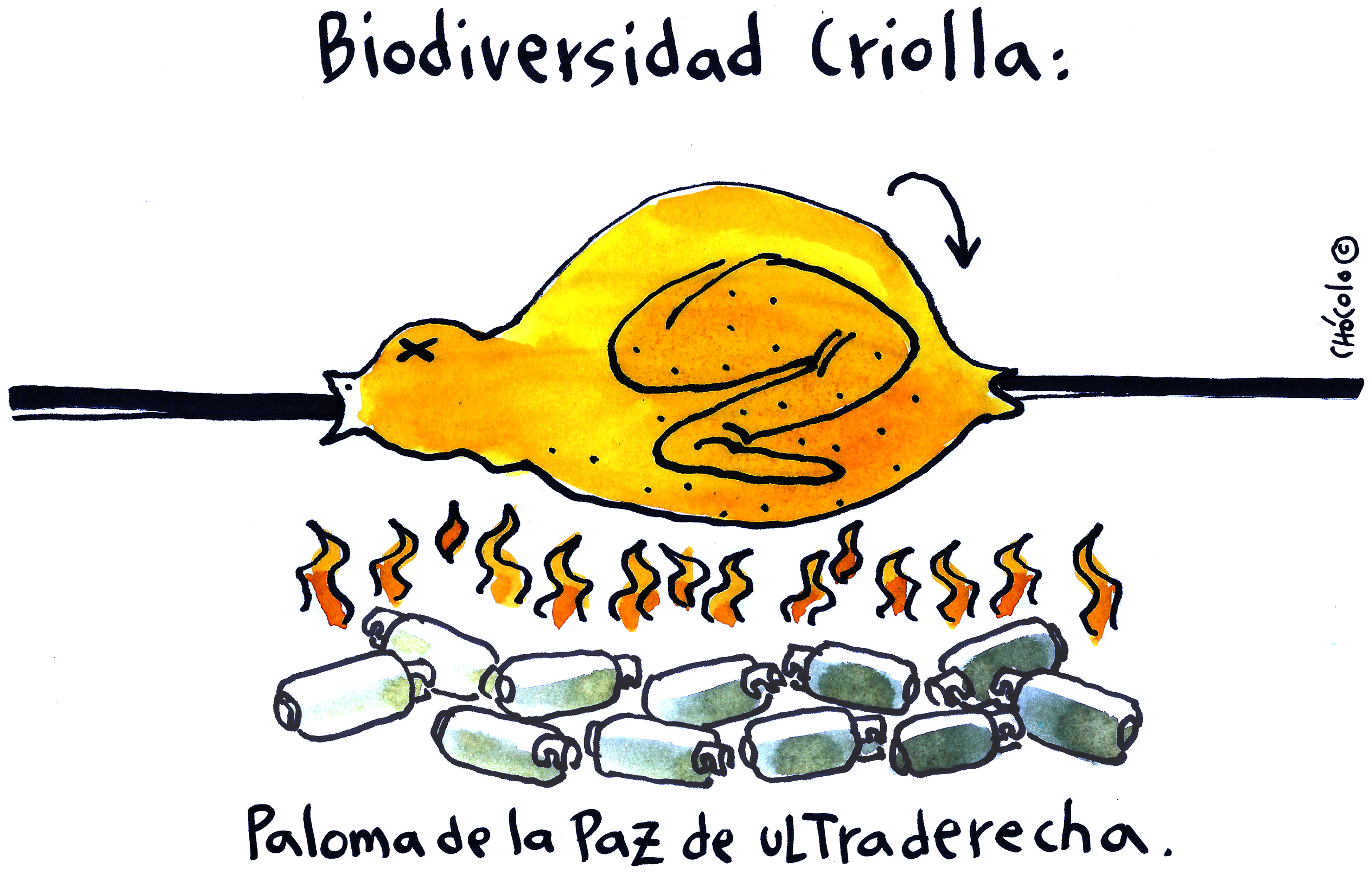 Chócolo