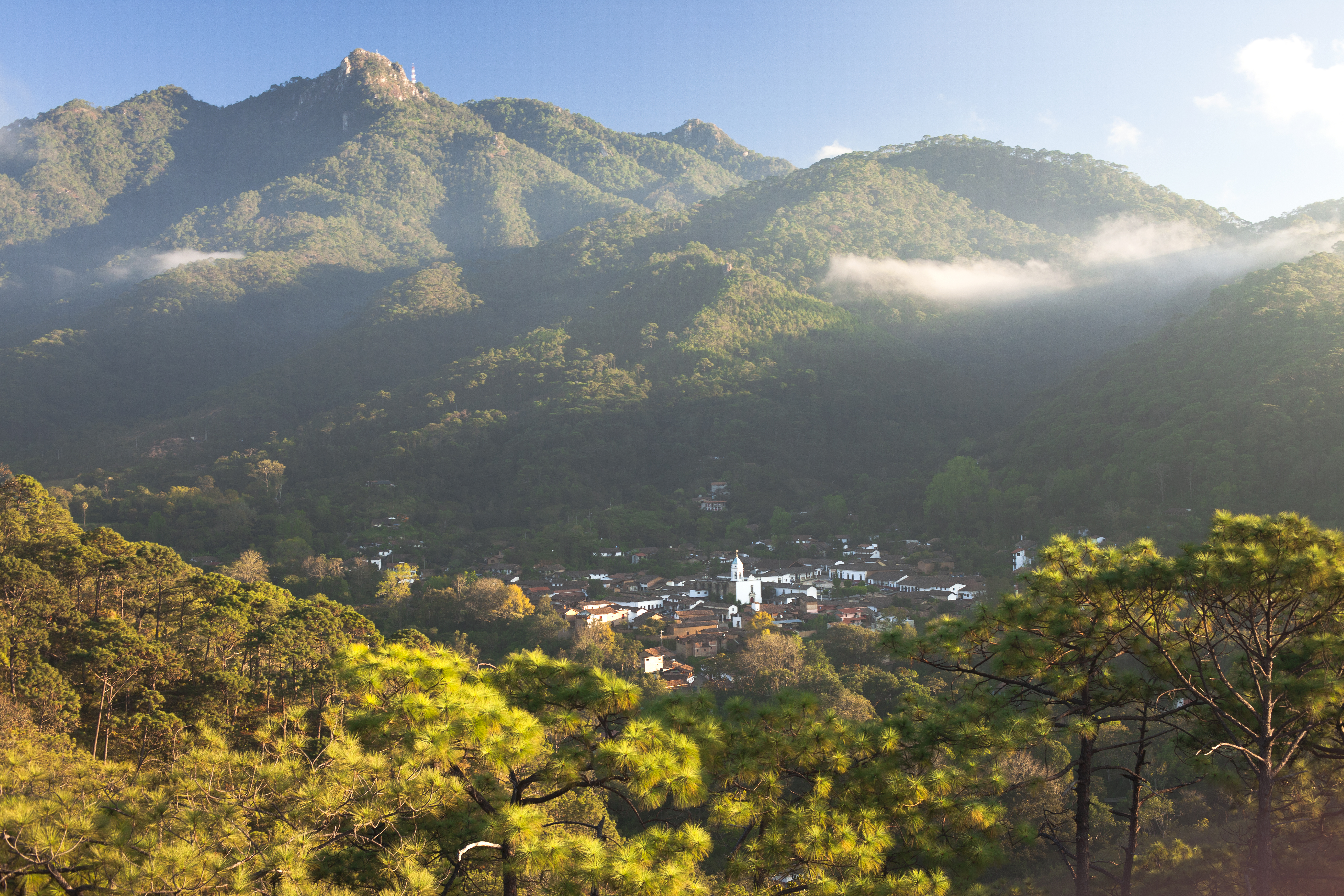 Tequila, mariachi y Mundial: así se prepara Jalisco para recibir más colombianos en 2026
