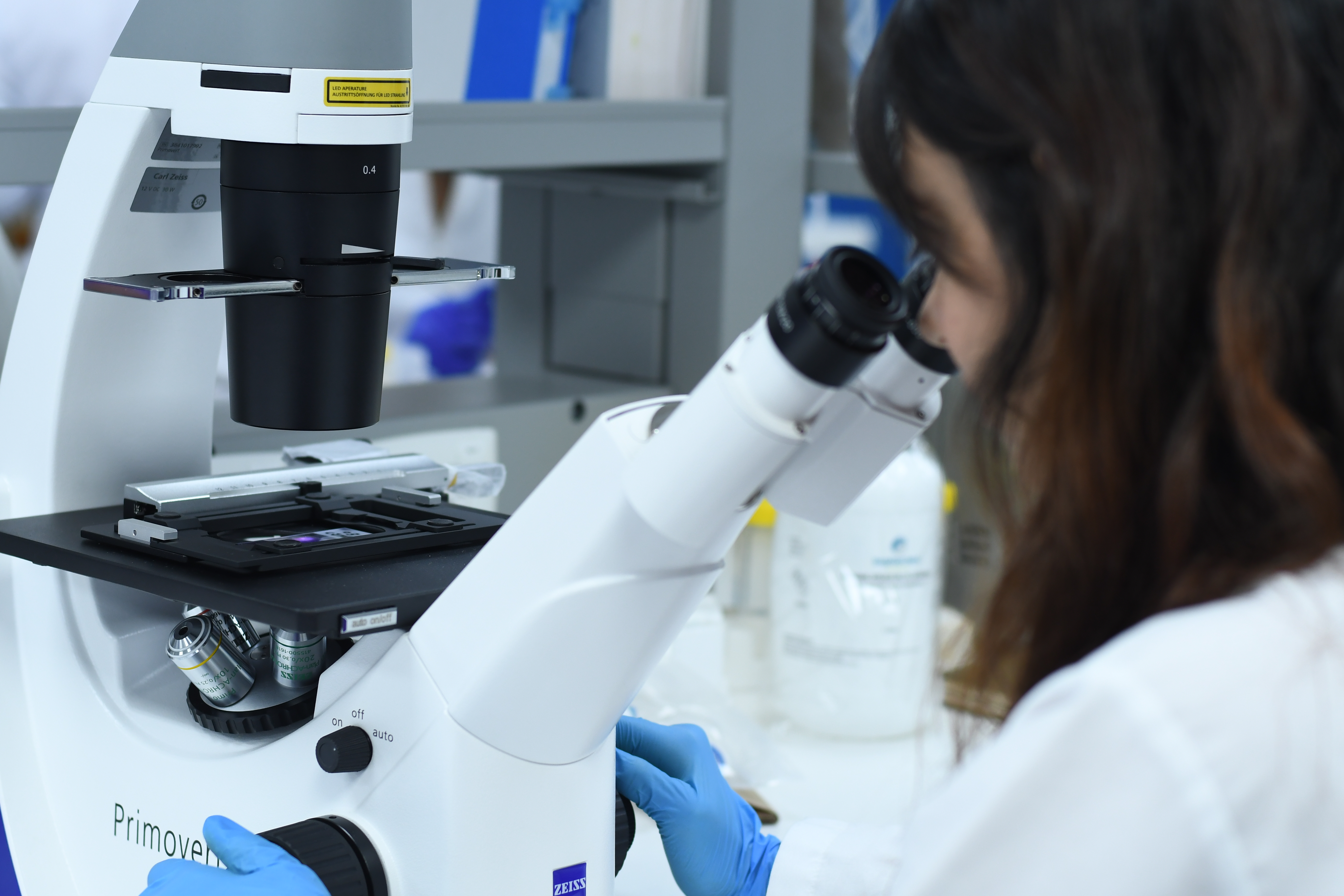 La OMS actualizó su lista de bacterias superresistentes: “la amenaza ha aumentado”