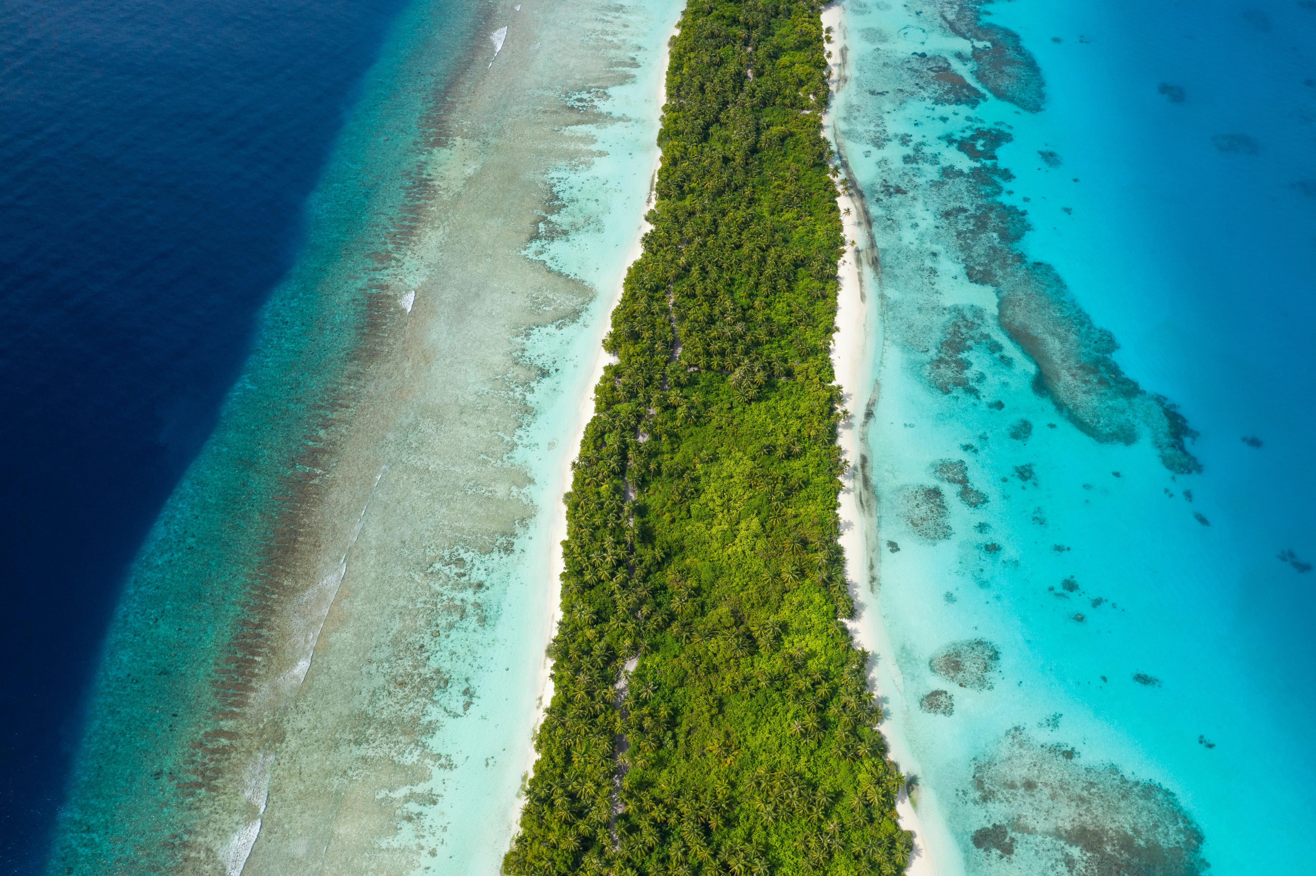 Dhigurah es una isla cautivadora en las Maldivas, famosa por su extensa franja de arena blanca y un espectacular banco de arena que se adentra en la laguna, creando una de las postales más icónicas del archipiélago. Sus aguas cristalinas y calmadas la convierten en un lugar ideal para largas caminatas, baños tranquilos y sesiones de snorkel entre arrecifes llenos de vida marina. Además, sus alrededores son reconocidos por la presencia de tiburones ballena durante todo el año, lo que suma un atractivo único a este destino.