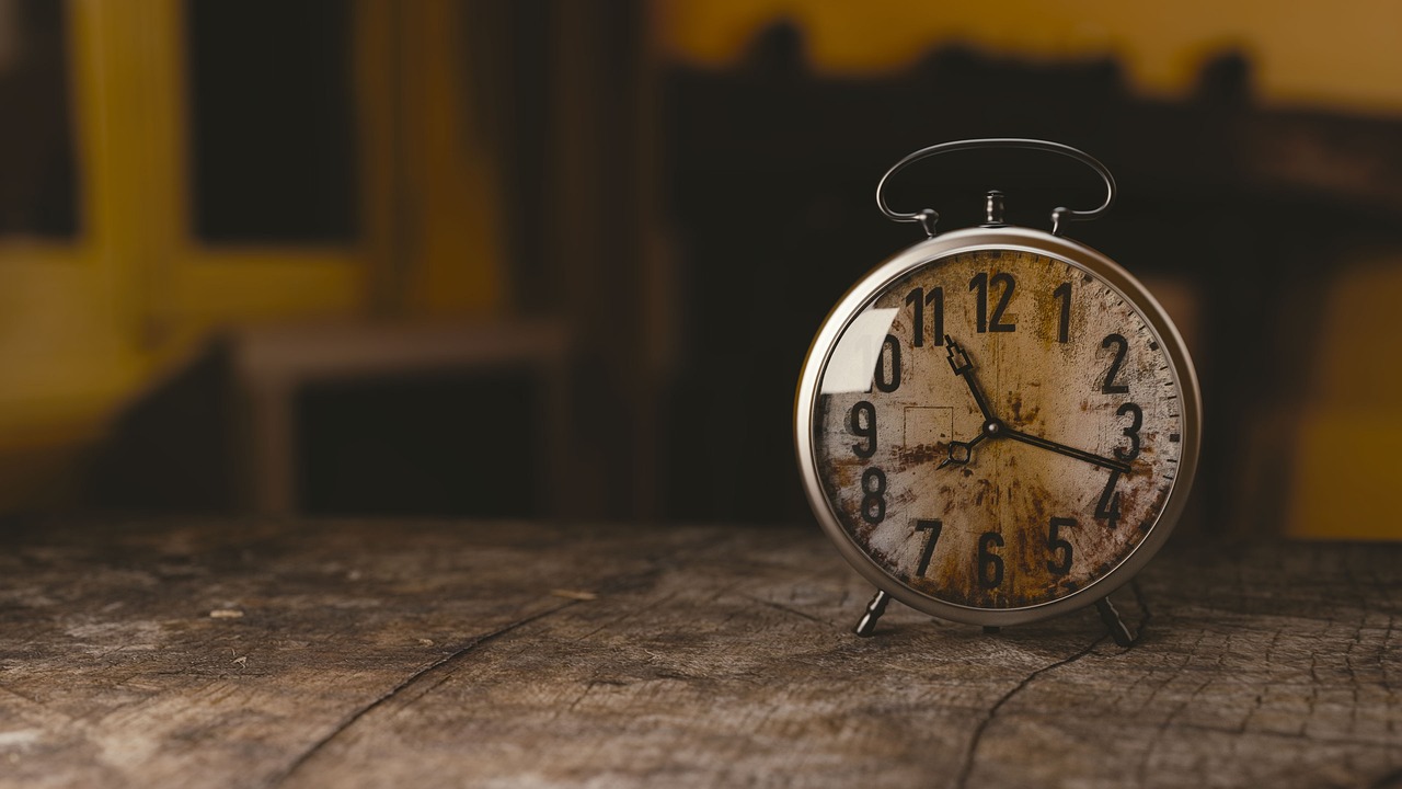 Un “reloj genético” podría predecir la extinción de una especie, pero genera dudas