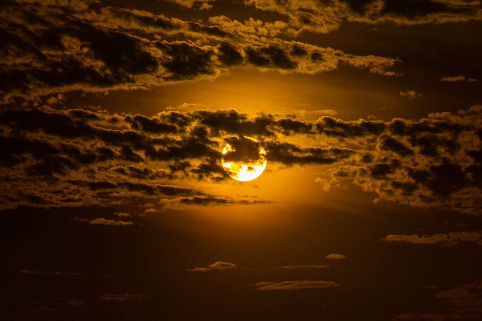 Las recientes altas temperaturas en Colombia: impactos actuales y futuros