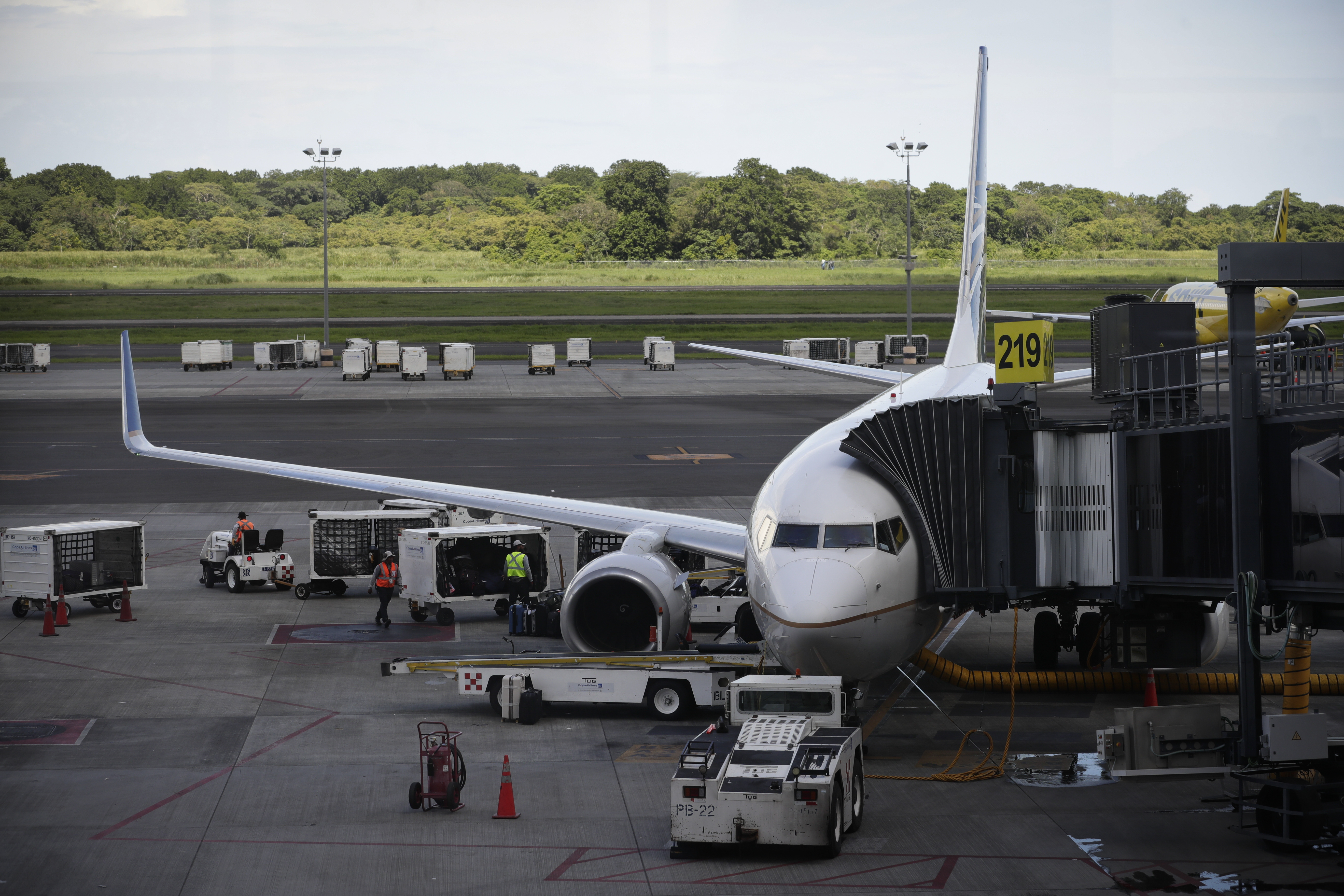Colombia tendrá la primera planta de SAF en 2029: Fedebiocombultibles