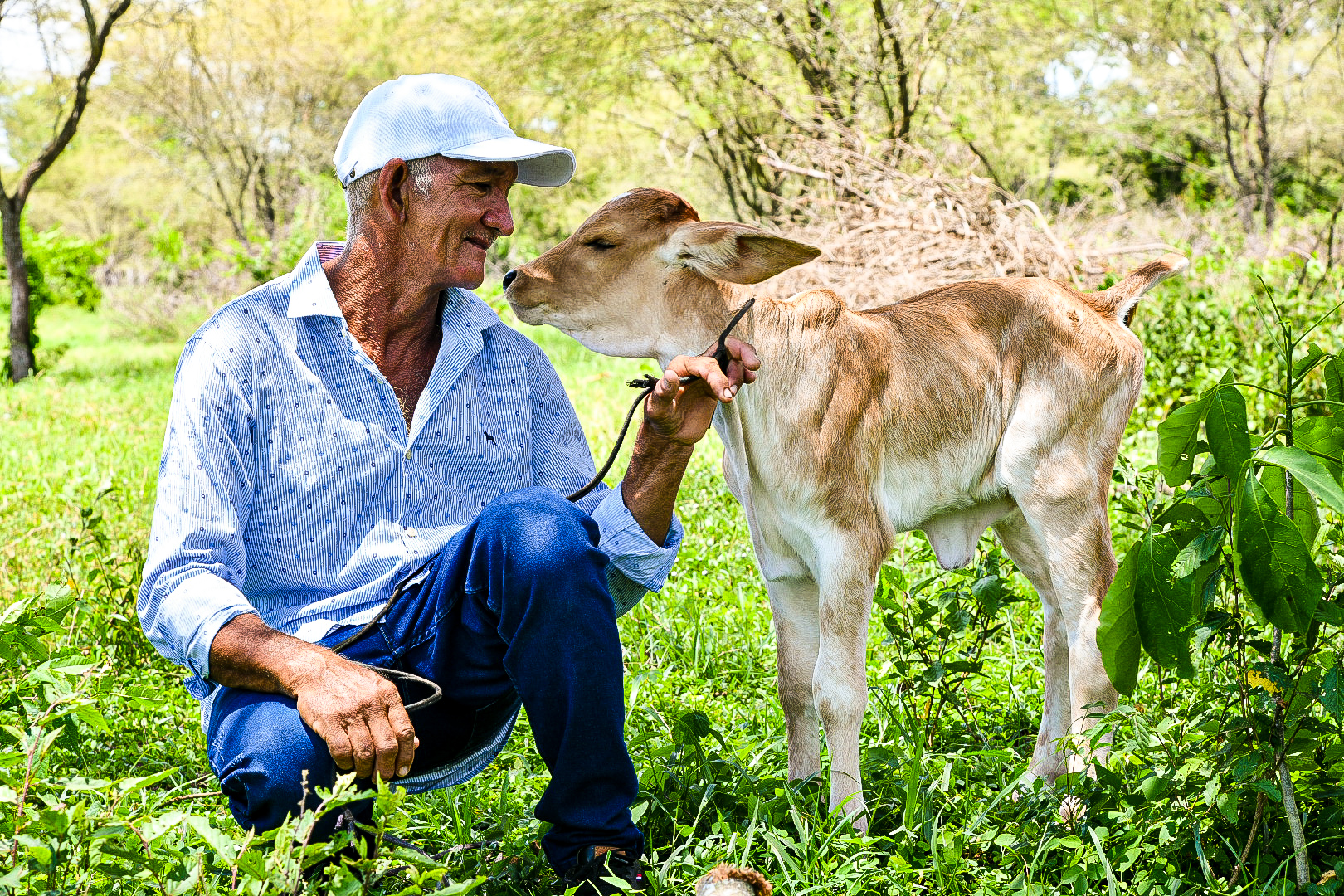 ¿Cuáles fueron las últimas inversiones agro que realizó el Gobierno en el Caribe?
