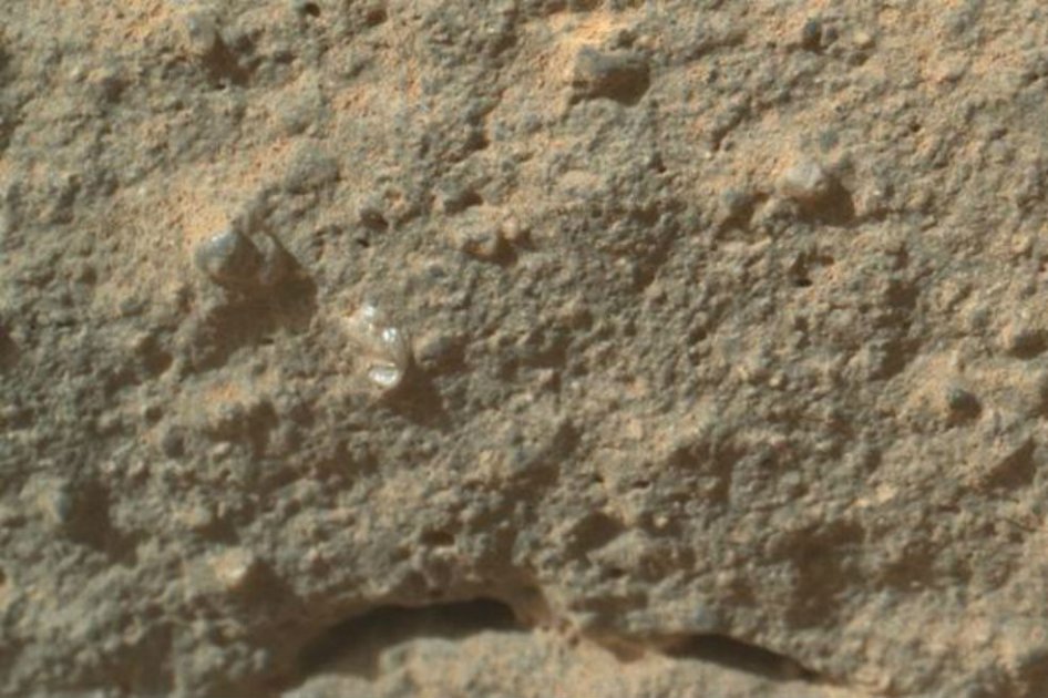 El Curiosity fotografió lo que parecería ser una flor en la superficie de Marte