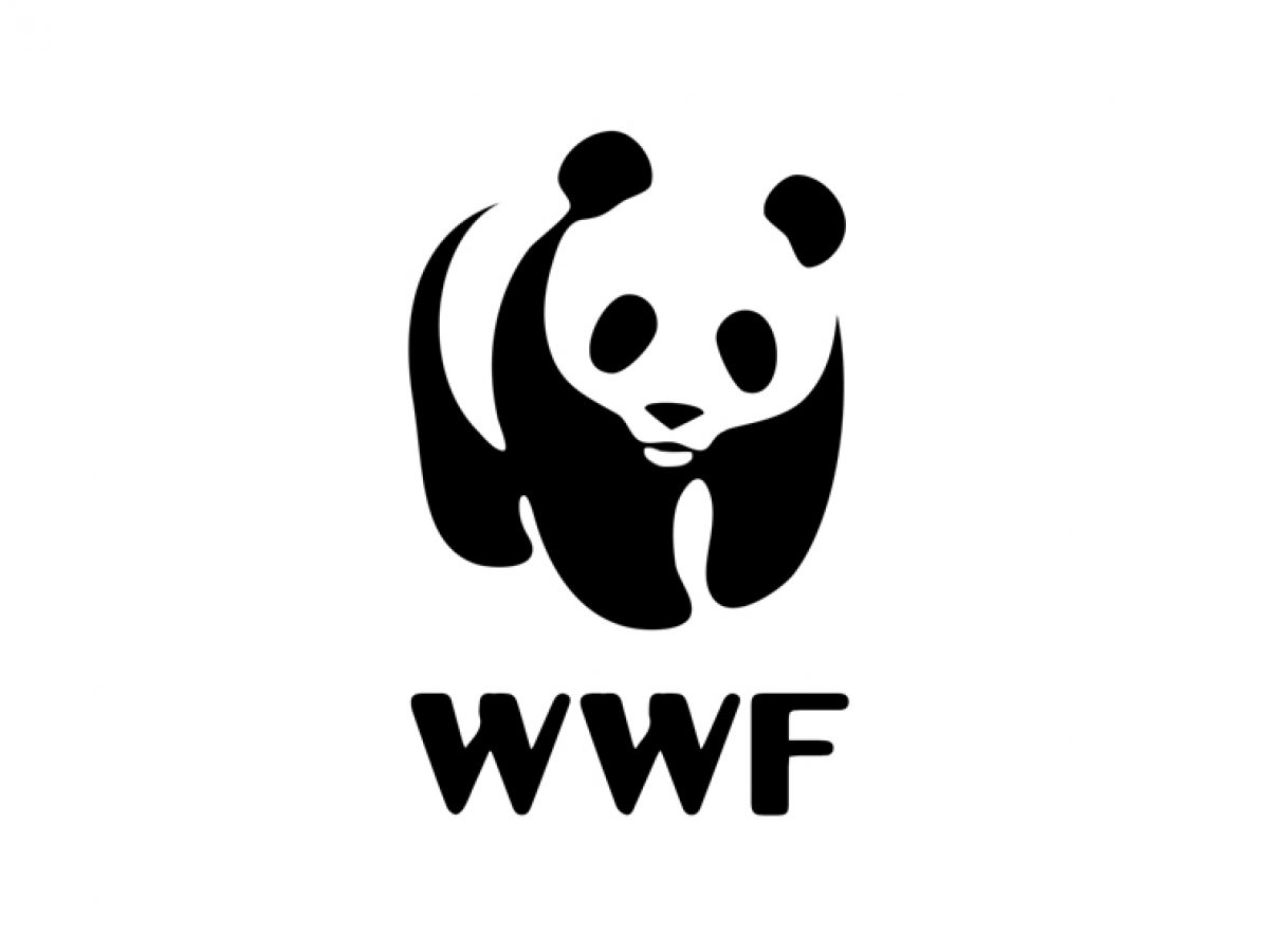 Por primera vez en su historia, WWF eliminará el panda de su logotipo