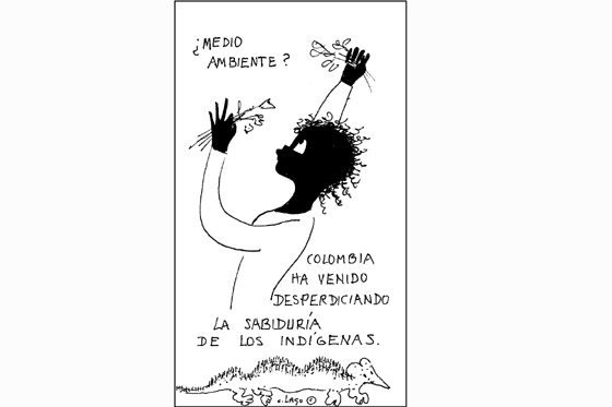 ¿Medio ambiente?