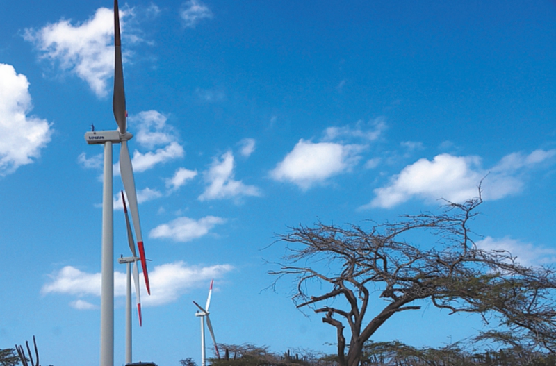 Presidente de COP28 insta a triplicar capacidad de energías renovables para 2030