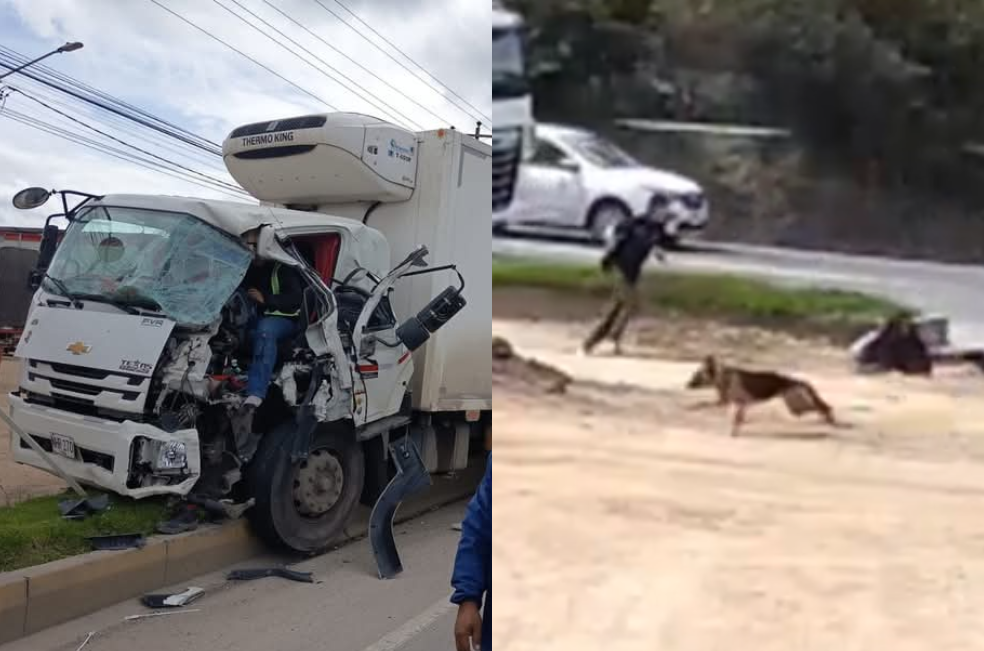 Perrito cruzando la calle causó grave accidente en vía de Tunja: video