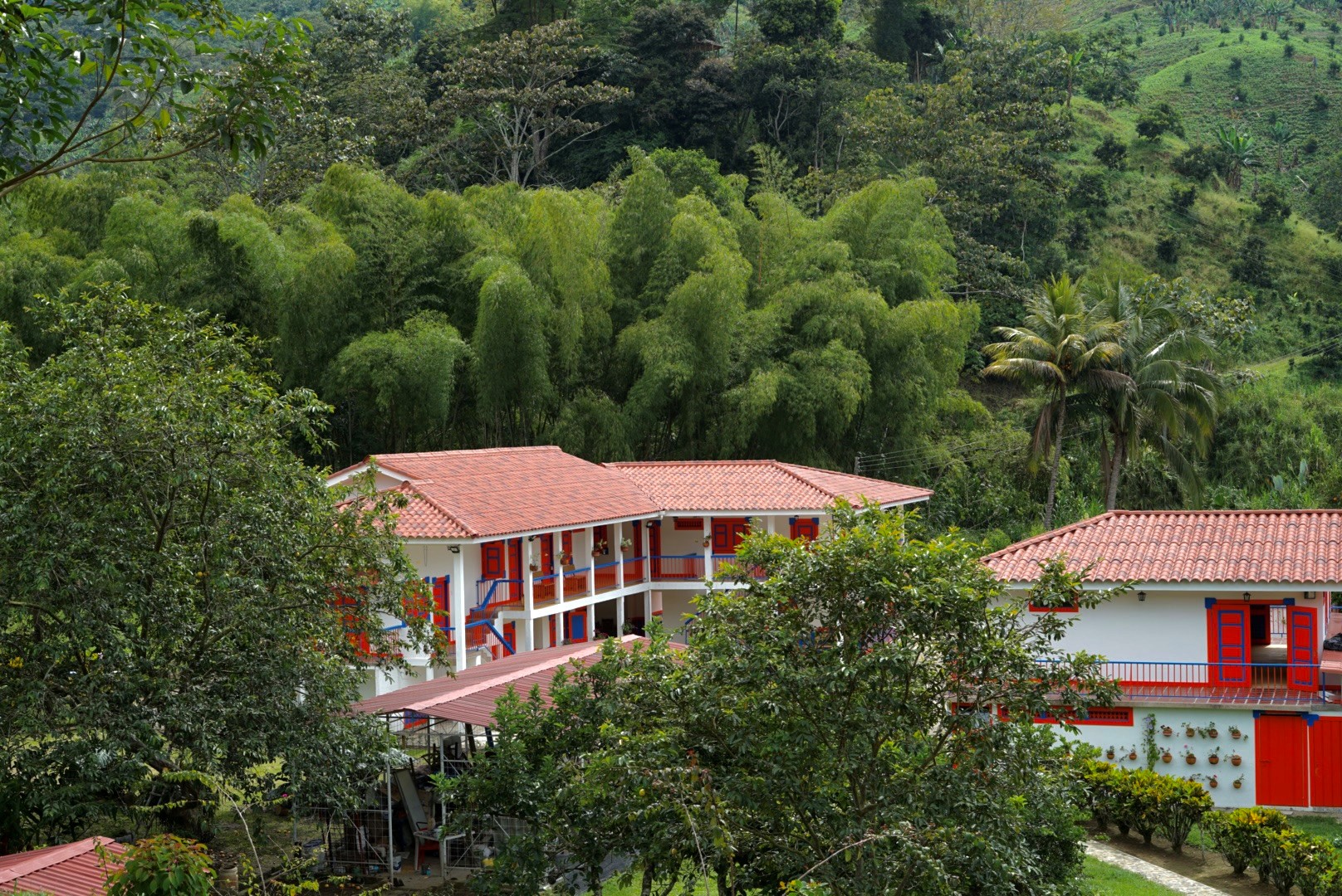Donde florecen el cacao y la vainilla para alegría del país
