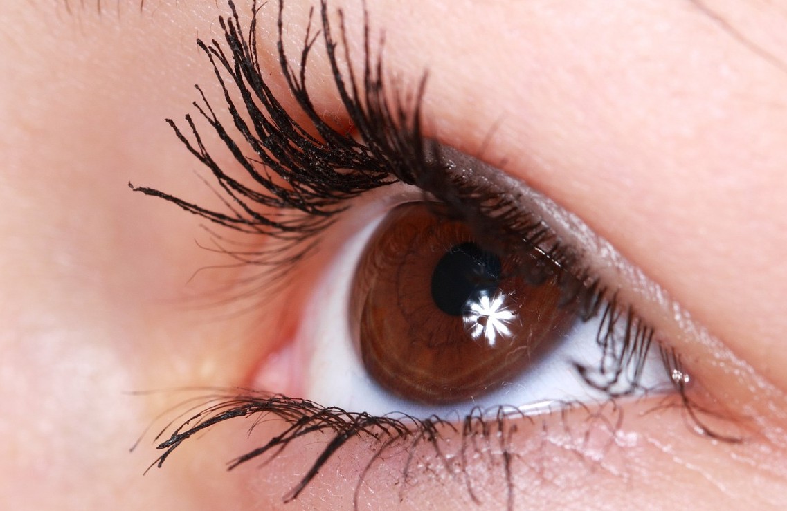 ¿Cuáles son los síntomas del glaucoma? ¡Te explicamos todo lo que debes saber!