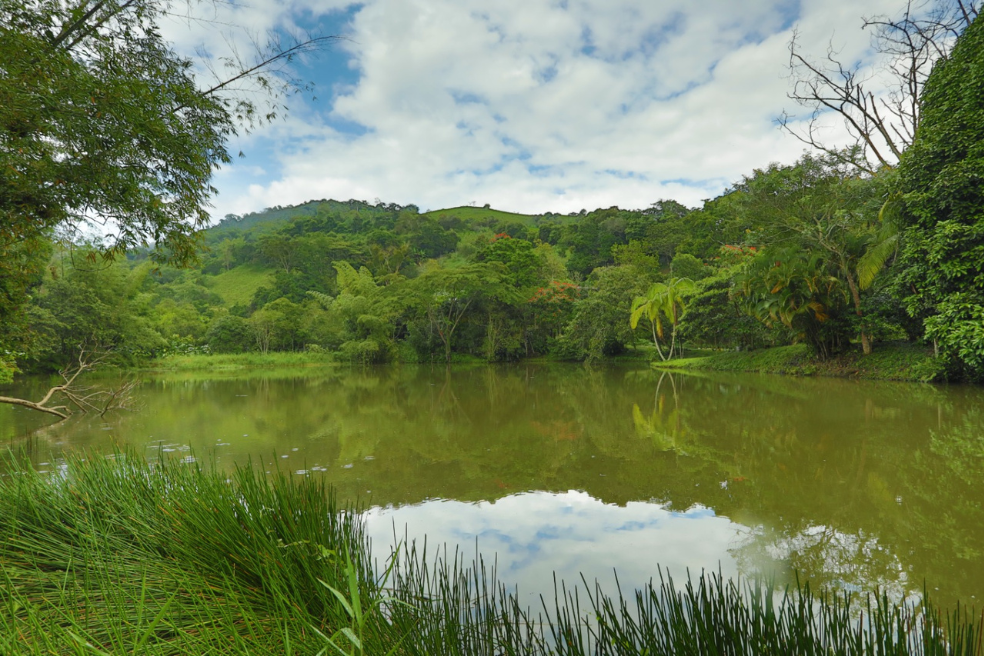 Las aguas de los ríos Bogotá, Negro, Sumapaz, Minero y Ubaté desembocan en el río Magdalena.