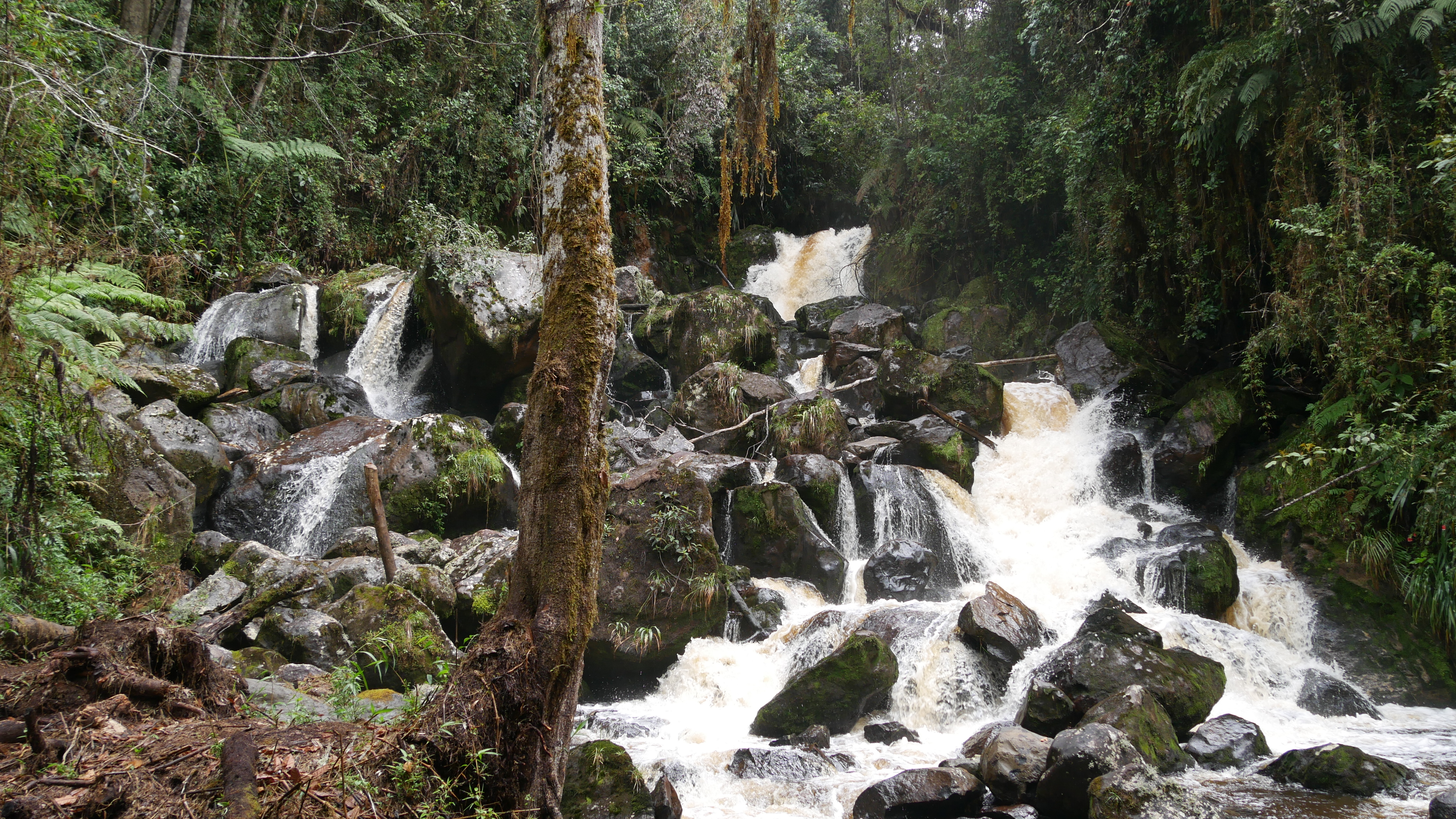 Vivir el turismo de naturaleza en las Reservas Naturales de la Sociedad Civil