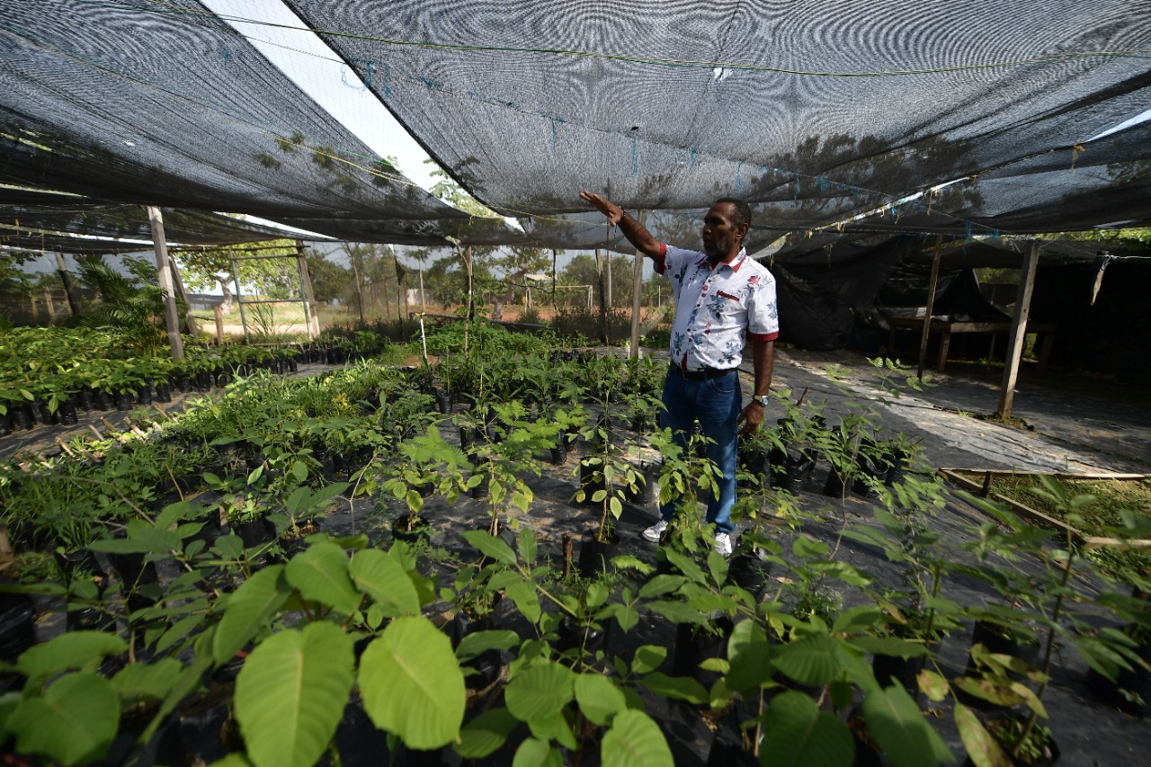 El proyecto de los exFarc que busca conservar el bosque seco tropical en Cesar