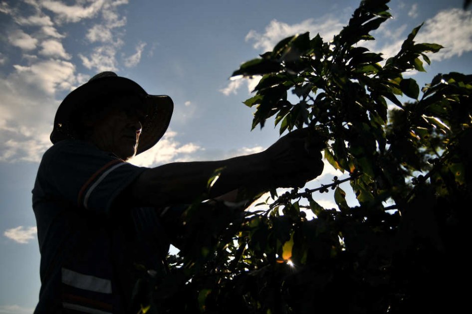 Acusan al Gobierno de haber incumplido acuerdo con cafeteros